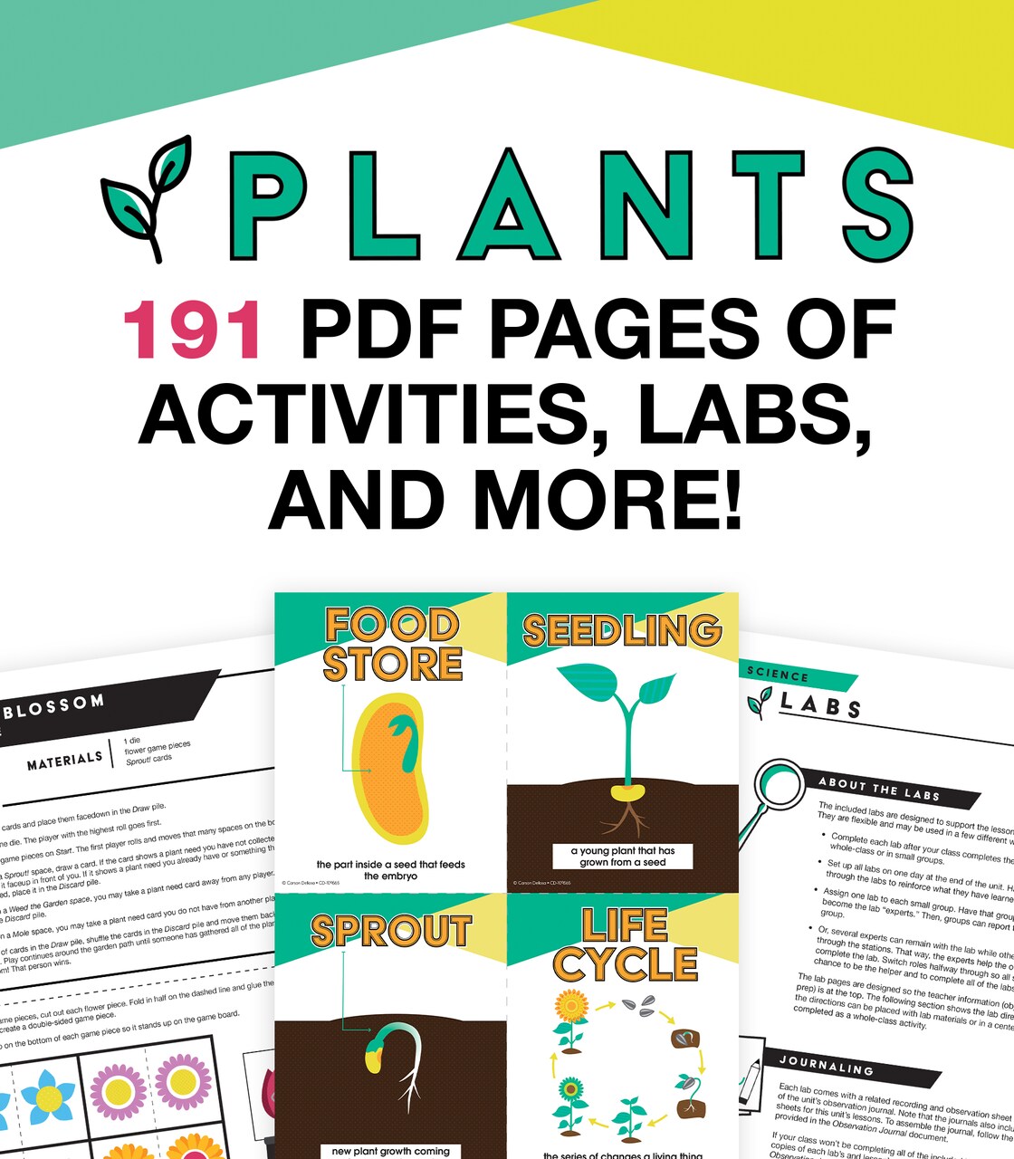 Carson Dellosa In A Flash Plants Science Instructional Resources—Flash Drive With Lessons, Labs, Observation Journal, Templates, Songs, Posters, STEM Challenge, Plant E-Books, Grades K-2 (191 pgs)